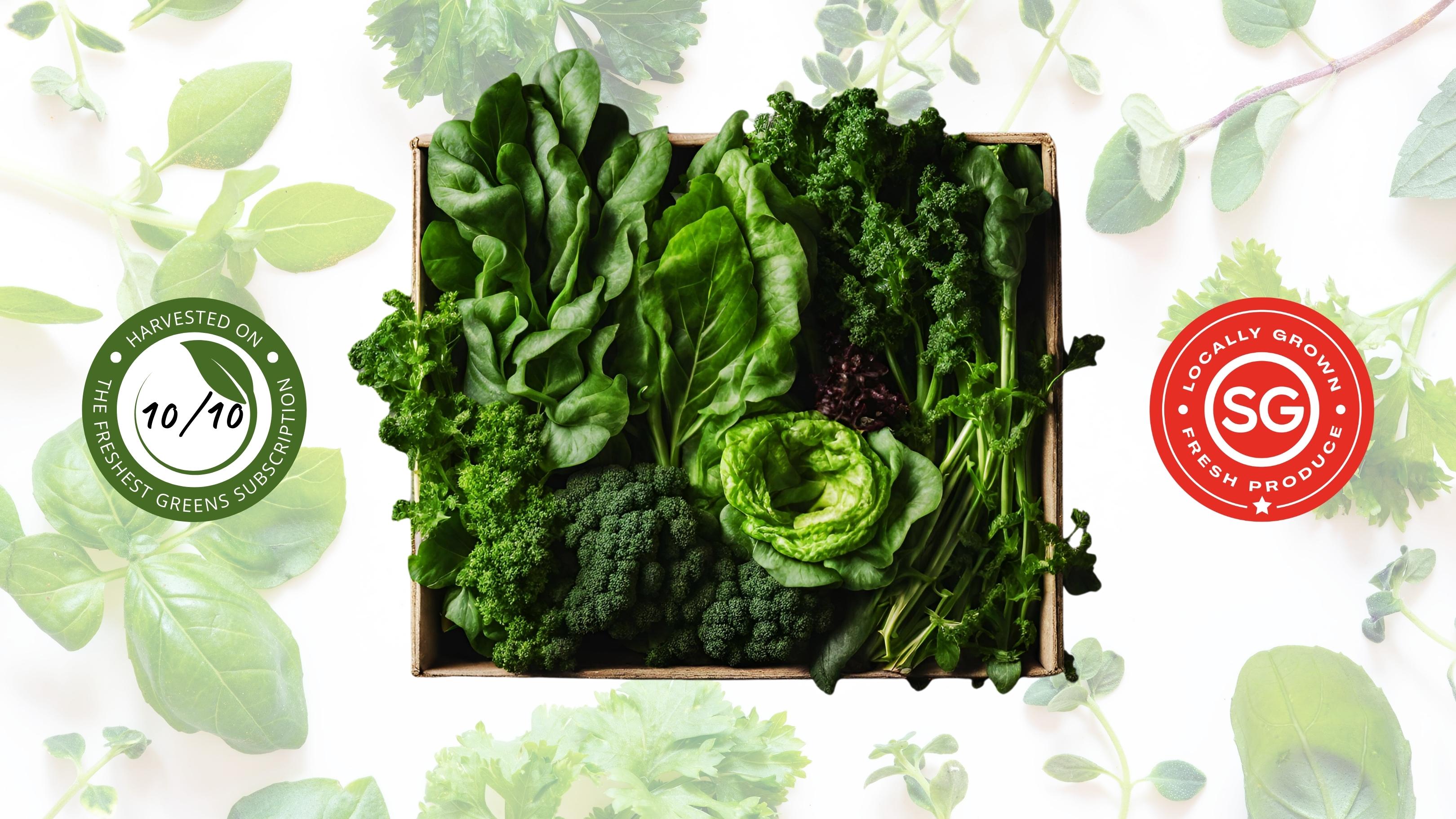 Subscribe to The Freshest Greens Box Monthly Subscription