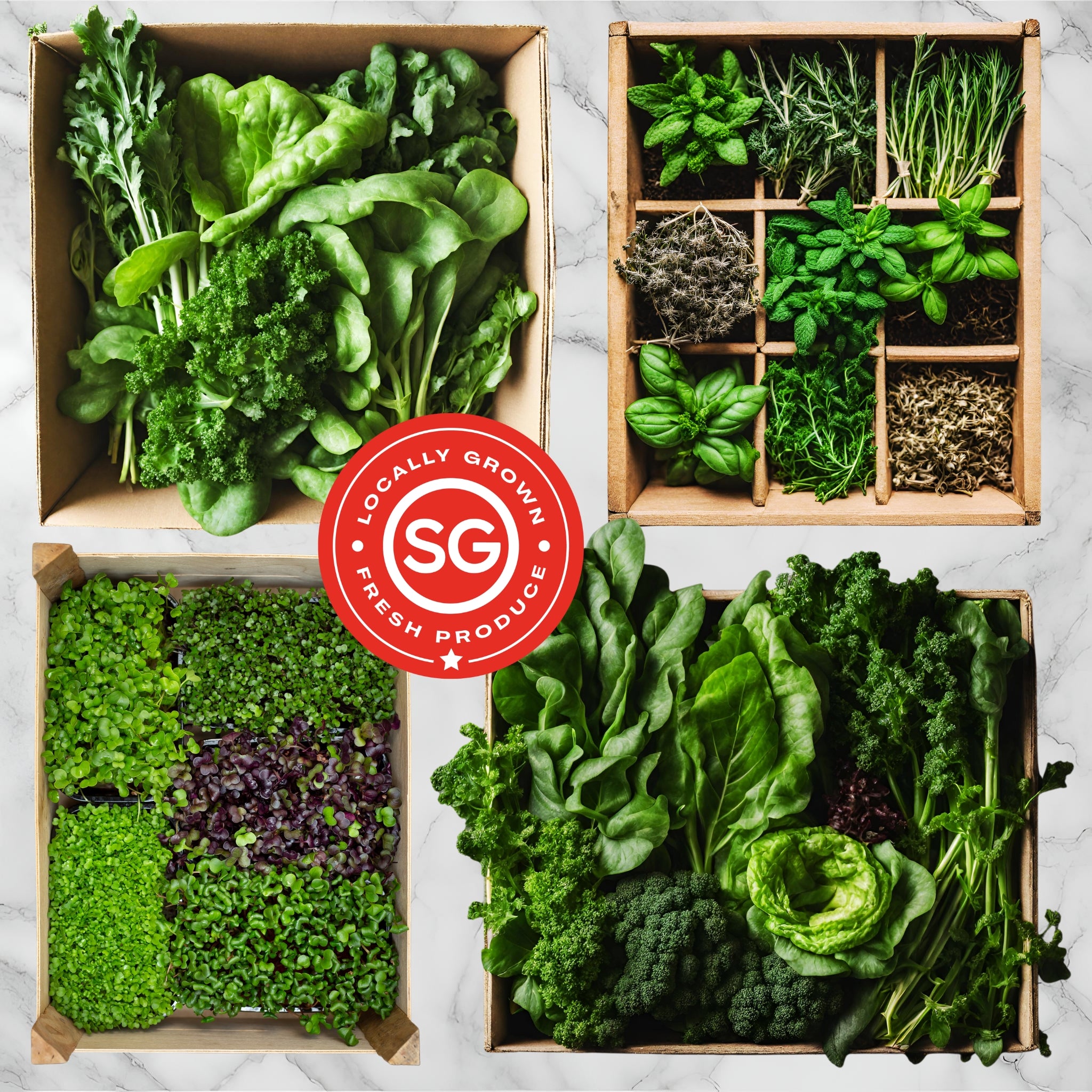 Subscription box for weekly delivery of the freshest, most nutritious, organic local produce available in Singapore. Receive leafy greens, herbs, fruit plants, microgreens & more.