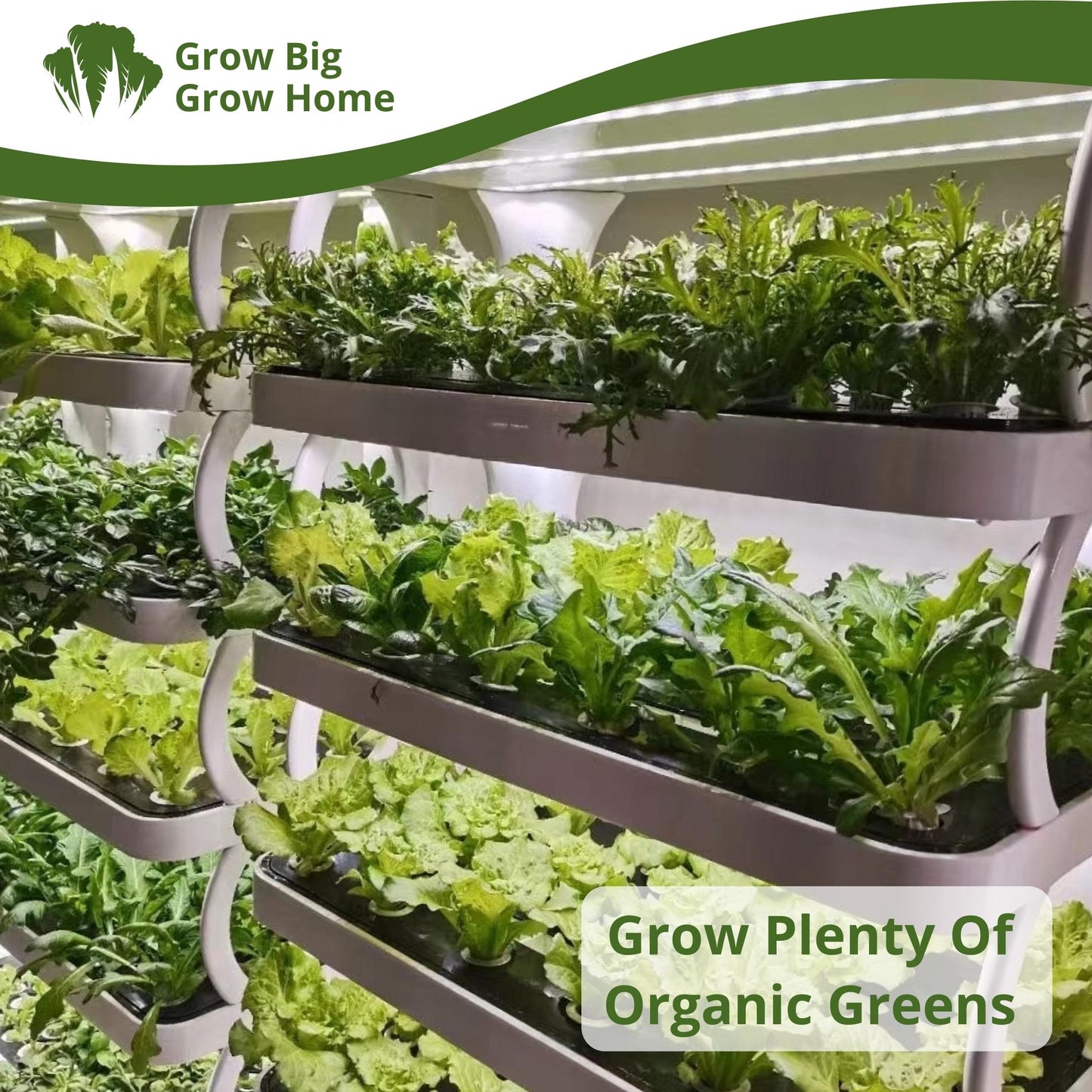 Grow plenty of fresh, organic greens hydroponically with Grow System 157