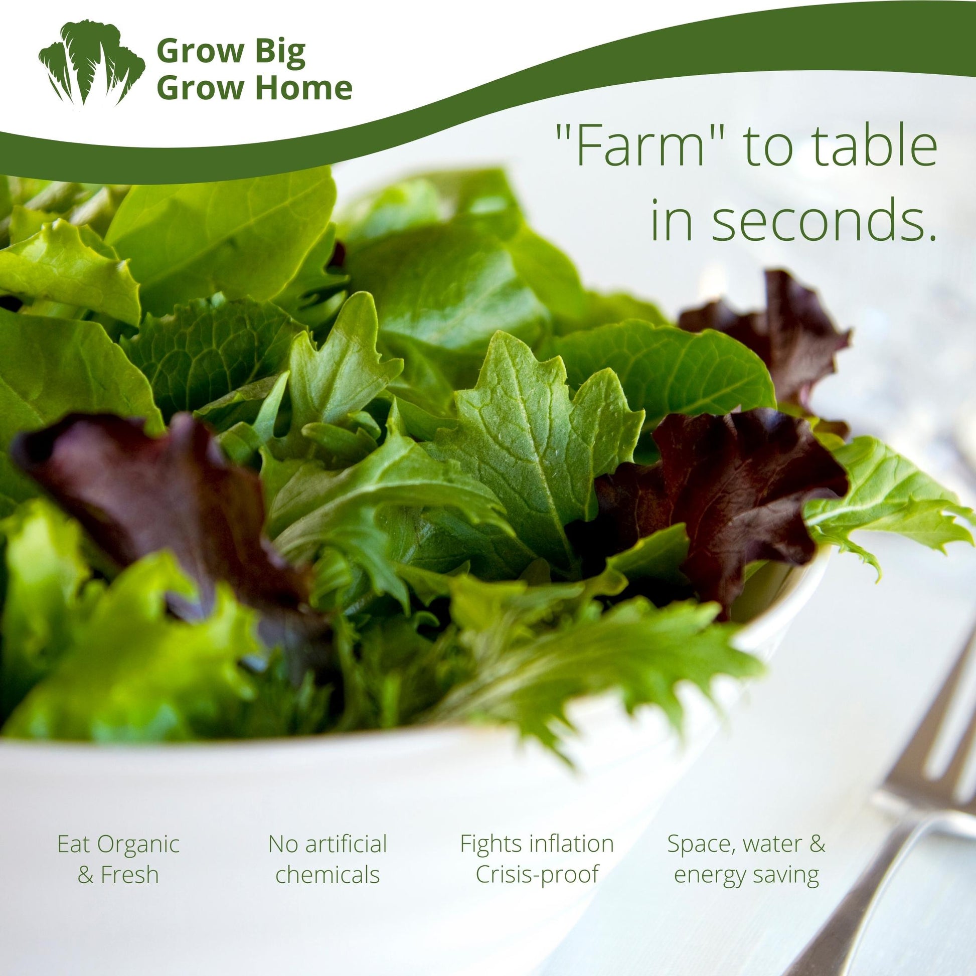 Grow organic salad greens & enjoy the farm-to-table experience